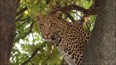 Sudafrica. quelliconlavaligia