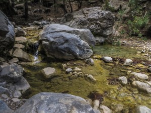 samaria. quelliconlavaligia