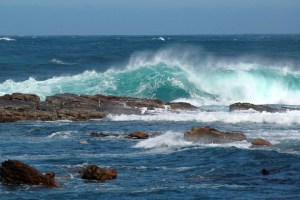 Sudafrica. Quelli con la valigia