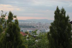 Ankara