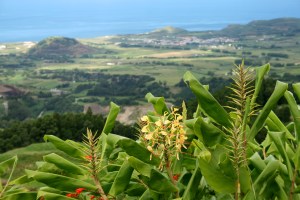 isole azzorre quelli con la valigia