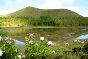 isole azzorre quelli con la valigia