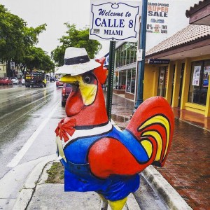 miami 30-quelliconlavaligia