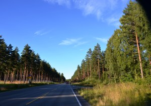 Norvegia Quelli con la Valigia