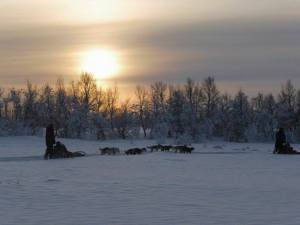 12695834_10206091356425095_62572302_n