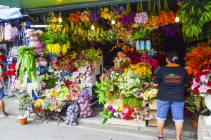 CHATUCHAK Quelli con la Valigia 12