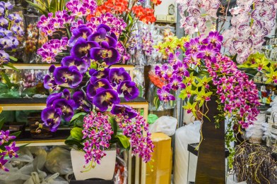 CHATUCHAK Quelli con la Valigia 18.JPG